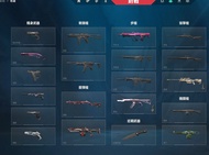 valorant account (白金)特戰英豪 val帳號