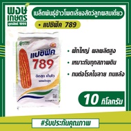 เมล็ดพันธุ์ข้าวโพดเลี้ยงสัตว์ลูกผสมเดี่ยว ตราแปซิฟิค789 3.5  เมล็ดพันธุ์ 10 กิโลกรัม (ข้าวโพด เมล็ดพ