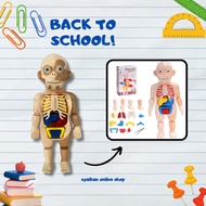 Human Body With Organs Anatomy Learning Toys Laboratory/Montessori 3D Human body anatomy