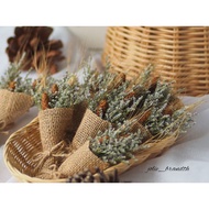 Dried Flowers Miniature Flower Bouquets Caspia
