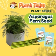 Plant Talks Asparagus UC72 Vegetable Seeds Officinallis Mary's Grandaughter Veggie Seed Non GMO