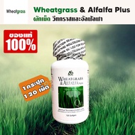 (1 กระปุก 120 เม็ด) Wheatgrass &amp; Alfalfa Plus ผลิตภัณฑ์อาหารเสริมแอมสตรอง  วีทกราส อัลฟัลฟ่า พลัส ผักเม็ดแท้ สูตรดั้งเดิม ผักเม็ด superfood