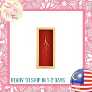 Eu Yan Sang Changbai Mountain Ginseng (M)