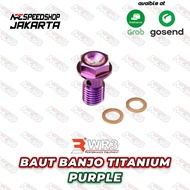 Banjo Bolt Titanium WR3 Single M10 x 1.25 Universal Bolt - Purple, Coarse Thread