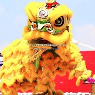 Lion Dance Lion Dance Lion Dance Full Set Complete Set Supplies Foshan Adult Lion Dance Double Lion 