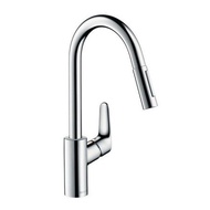 全新現貨 hansgrohe Focus M41 240 2jets 31815000 冷熱水可拉出式鋅盤龍頭 星盤龍頭 （德國制造）