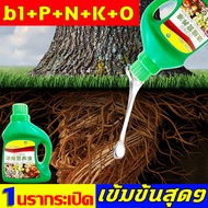 เข้มข้นมาก1วันรากระเปิด🍀SM น้ำยาเร่งราก เร่งราก ยาเร่งรา 500ml สารเร่งราก b1 ส่งเสริมผลการเก็บจากพืช หยั่งราก+คุ้มครองราก+รักษาราก+เร่งดอกไม้บาน ปรับปรุงภูมิคุ้มกันของพืช แก้ปัญหาเช่นรากเน่า ปุ๋ยเร่งราก สารเร่งรากพืช ผงเร่งรากพืช ผงเร่งราก