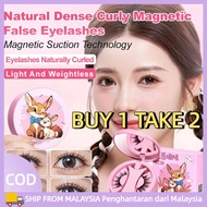 【BUY 1 TAKE 2】BQI Magnetic False Eyelashes Reusable Natural Volume Curl Lashes False Eyelashes