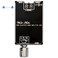 -1001B 100W Mono BT Audio Power Amplifier Module  True Wireless