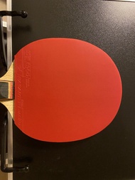 Andro Rasanter R50 Ultramax 膠皮