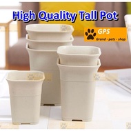 [New]Succulent Plant Flower Pot Thick Tall Square Plastic Pot Pasu Bunga Plastik Murah Berkualiti Pa