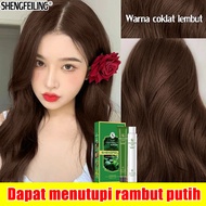 tidak pernah pudar SFL Cat rambut Pewarna Rambut 100ML*2permanent korea Tidak merusak Plant Health T