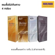 สีปิดหงอก สีปิดผมขาวสีแฟชั่น สีน้ำตาลอ่อนประกายหม่น ผมสีน้ำตาล สีผมน้ำตาลเทา สีผมน้ำตาลอมเทา สีผมน้ำ