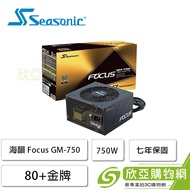 海韻 Focus GM-750 (80+金牌/ATX/半模組/七年保固)