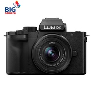 Panasonic LUMIX DC-G100 Mirrorless Camera [กล้องมิลเลอร์เลส] - ประกันศูนย์