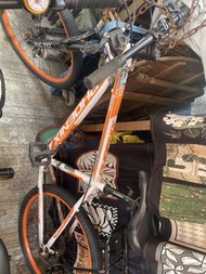 Phoenix 越野單車