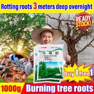 Rotting roots 10 meters deep racun pokok besar 1000g buy 1 get 1 free racun pokok kayu besar tree ki