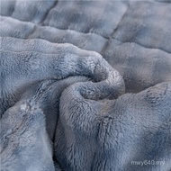 Mattress Wholesale Household Mattress Plus Velvet Thickened Winter Student Blanket Mattress Dormitor