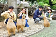 Izu Shaboten Zoo Ticket in Shizuoka
