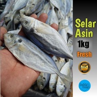 MERAH Salted Fish Strait 1KG Salted Fish Wholesale 1KG Dried Fish Salted Fish Salted Fish JENGKI Anchovy Field SUPEE Anchovy BABY Dry Squid Dried Salted Squid Dried Corkfish Salted Chili JAMBAL Bread Anchovy Rice Food Dry Red Cross-PEDA Pleated Blinds