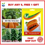 5 Biji benih BETIK SEKAKI HONG KONG Lebat papaya seeds repacked