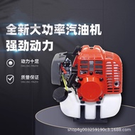 Mesin Pemotong Rumput Rentas Sempadan Pemangkas Lindung Nilai Dua Lejang Kuasa Tinggi Enjin Petrol M