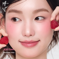 AZTK Liquid Blush Cream JC01 Matte Natural Makeup Atmosphere Womens Cosmetic Product Enhance Color W