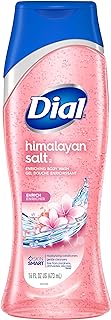 Dial Body Wash, Himalayan Pink Salt, 16 Fluid Ounces (Pack of 3)