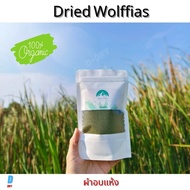 ผำอบแห้ง ไข่น้ำผง dried Wolffia 100%  (plant protein) โปรตีนพืช 40G