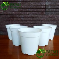 Srondol Tall Pot 12/s flower pot beautiful/ pot