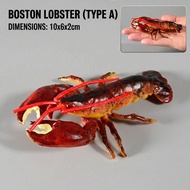 Boston lobster Model Seafood Display Children's Toy Ocean Animal Photo Prop Realistic Plastic Handhe