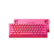 Eweadn Wired Keyboard 61 Key Layout Rgb Backlit Mute Key Ergonomic Desktop Office Gaming Keyboard Fo
