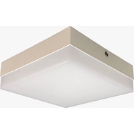 HOME 18W SURFACE DOWN LIGHT/WALL LIGHT SURFACE/