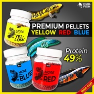 Channa Fish Pellet MORE Yellow Blue RED Channa Auranti Fish Feed Andrao Stewarti Limbata Maru Barca 