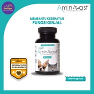 AminAvast Cat & Dog Kidney Supplement - AminAvast Cat & Dog Kidney Supplement Dog and Cat Renal/