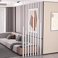 Snaweo Iron Wall Room Divider, Floor To Ceiling No Drilling Wall Partition, Privacy Screens/Room Div