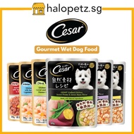 CESAR Dog Pouch 70g / Crafted Wet Food -Dog Food -