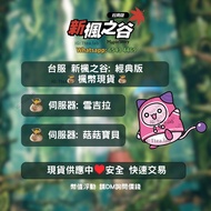 新楓之谷經典版 Maple Story 💰100萬楓幣💰 現貨供應中♥️安全 快速交易♥️