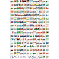 Flags of the World Educational Wall Art Print on Canvas Decor Poster