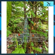 Stainless Steel Trap Cage Accessories Bird Cage Hello Crest, Inject Cheap Tea Accessories GH