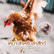 กับดักไก่ กับดักไก่ดักนก กับดักนกและไก่ โครงเหล็ก แข็งแรง ดักไก่ ดักนก 50x60ซม. พร้อมส่ง Best Of Me