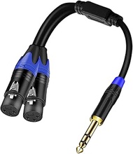 Dual XLR to 3.5mm Stereo Mic Cable, 2 XLR Female to 1/8 Inch Mini Jack Y-Splitter Breakout Lead Micr