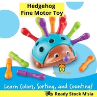 Spike Hedgehog sorter toy/ Color sorting/ Fine motor training/ Hand eye coordination toy/ sensory to