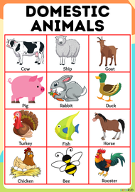 Educational Chart Laminated A4 Size -  MANY DESIGNS ALPHABET ABAKADA NUMBERS AND MANY MORE