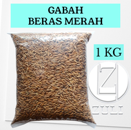 Gabah merah || repack 1 kg || gabah beras merah Pakan Ayam dan Hewan kecil Lainya