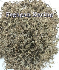 Pegagan Kering 1 kg / Herbal Daun Pegagan Antanan Kering