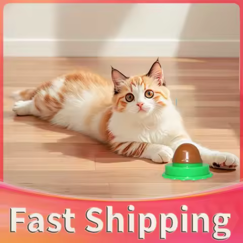 5/10Pcs Catnip Wall Ball Healthy Nutrition Cat Nip Treats Cat Sugar Ball Cat Snacks Candy Ball Pet S