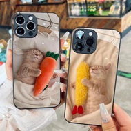 Sleepy cat carrot real life glass case for iPhone 17 16 15 14 13 12 11 8 7 6 6s 6p 7p 8p 6g 7g 7g 8g