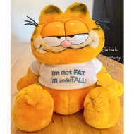 美國二手🇺🇸 1981年 Garfield 我不胖 加菲貓 古董玩具 玩偶 娃娃 絕版玩具