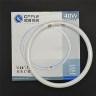 Oppo Ring Lamp Tube T5t6 Tricolor Fluorescent Four-Pin round Ceiling Lamp Ring Tube 22w32w40w28w38w